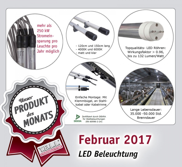 2017-02-02-LED-Beleuchtung